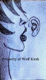 Disegno intitolato "Women Rule the World" da Wolf Kesh, Opera d'arte originale, Altro