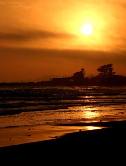 Fotografia zatytułowany „Beach Sunset” autorstwa Chase Shelby, Oryginalna praca