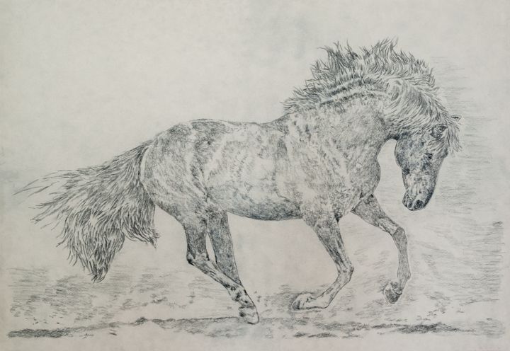 Painting titled "A black stallion" by Mikhail Solovyov, Original Artwork, Pencil
