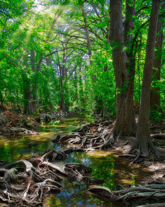 Photographie intitulée "Cibolo Creek TX" par Patrick O'Brien, Œuvre d'art originale, Photographie numérique