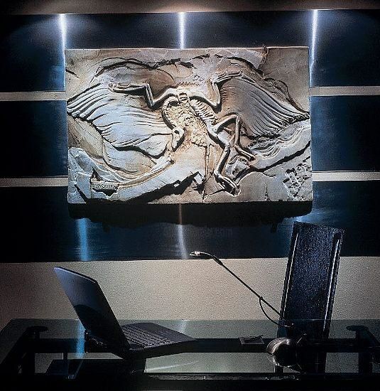 Γλυπτική με τίτλο "Archaeopterix (Germ…" από Mayta Pasa & Alvaro Berti Wall Sculptures, Αυθεντικά έργα τέχνης