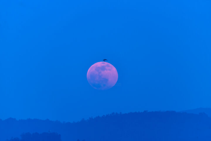 Photography titled "pink moon" by Xan Gasalla González-Redondo, Original Artwork, Digital Photography