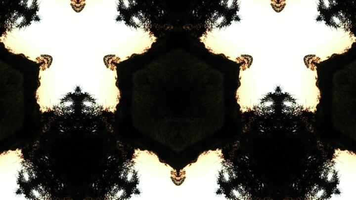 Photography titled "Fractal-0081.jpg" by Xavier Crepin, Original Artwork