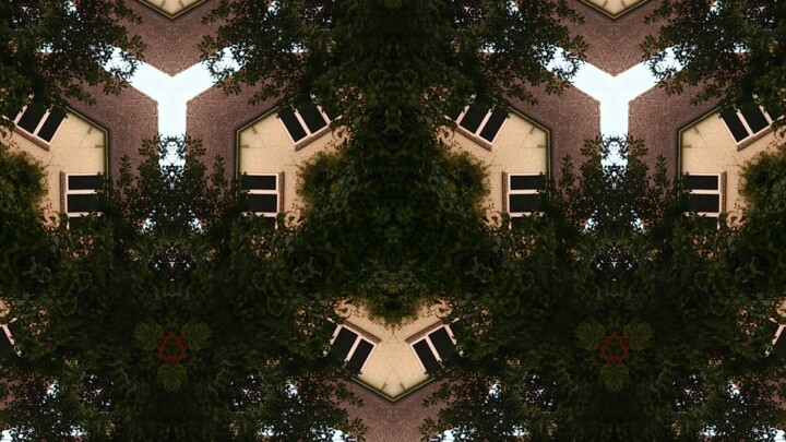 Фотография под названием "Urban Trees-0092.jpg" - Xavier Crepin, Подлинное произведение искусства