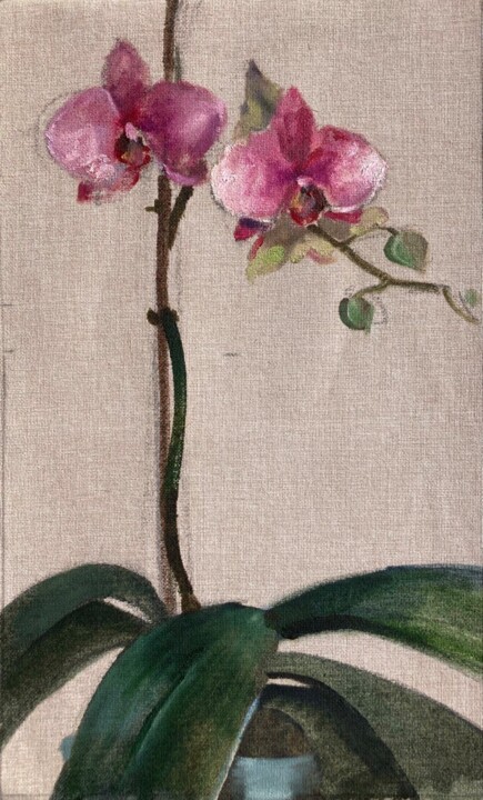 Painting titled "Orchid" by Xeyale Bedelova, Original Artwork, Oil
