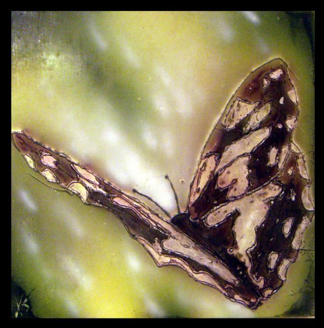 Peinture intitulée "papillon2" par Xavier Xanta, Œuvre d'art originale