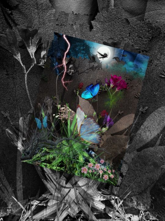 Цифровое искусство под названием "Flowers in paradise" - Xtofer, Подлинное произведение искусства, Цифровая фотография