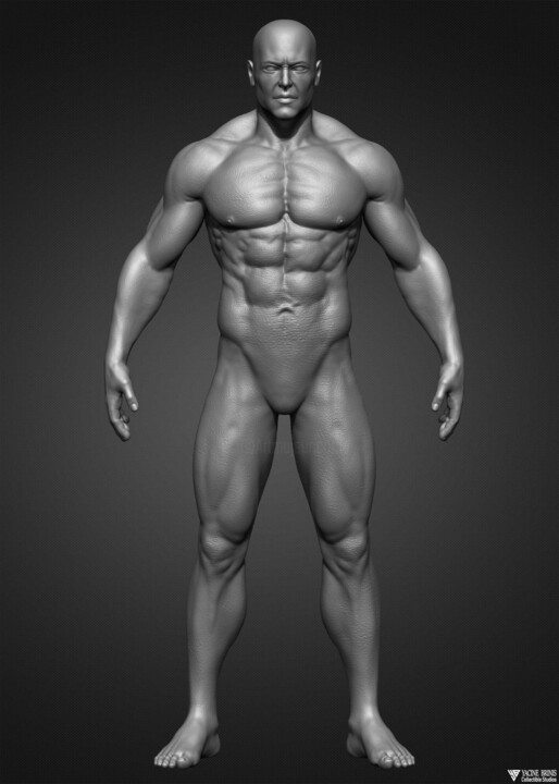Arts numériques intitulée "Realistic male anat…" par Yacine Brinis, Œuvre d'art originale, Modélisation 3D