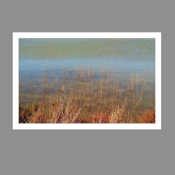 Photographie intitulée "CAMARGUE" par Yakinikou, Œuvre d'art originale, Photographie numérique