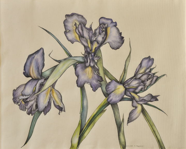 Painting titled "Iris" by Svitlana Yatsenko, Original Artwork, Watercolor