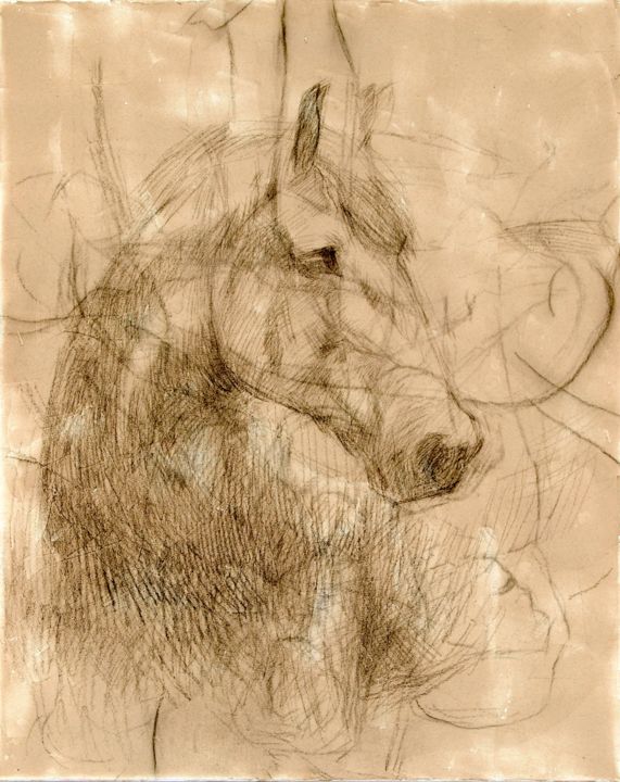 Dessin intitulée "Horse" par Yan Vita, Œuvre d'art originale, Graphite