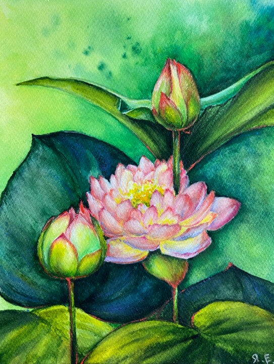 Рисунок под названием "“Pink lily” waterco…" - Yana Yeremenko, Подлинное произведение искусства, Акварель