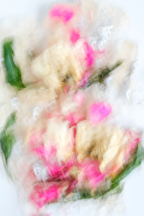 Photography titled "WHITE ROSES" by Yana Yushkevich, Original Artwork, Digital Photography