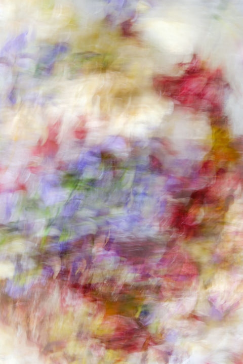 Fotografía titulada "BOUQUET OF FLOWERS" por Yana Yushkevich, Obra de arte original, Fotografía digital