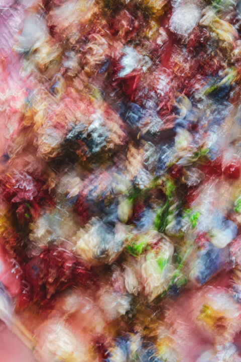 Photography titled "Red Flowers" by Yana Yushkevich, Original Art, Digital Photography