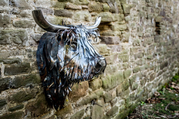 Sculpture titled "Fergus" by Yann Bour, Original Artwork, Metals