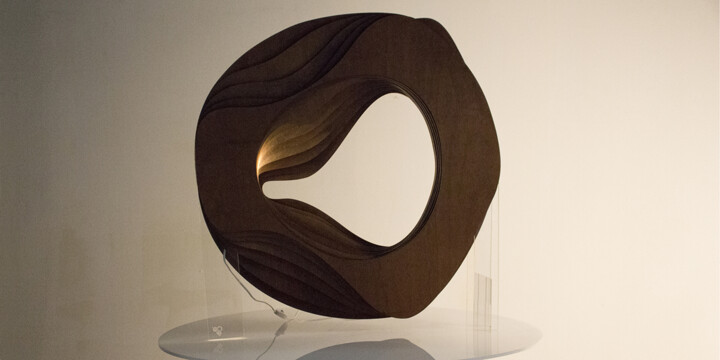 Design intitulada "organic / lamp" por Yannick Hervy (goin2), Obras de arte originais, Madeira