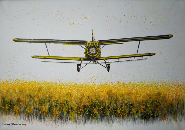 Peinture intitulée "Plane over the field" par Yaroslav Teslenko, Œuvre d'art originale, Acrylique