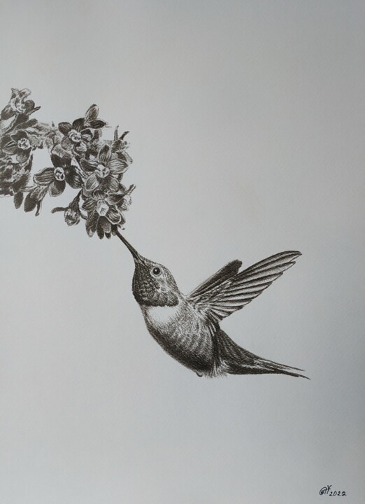 Pittura intitolato "Hummingbird" da Yaroslav Teslenko, Opera d'arte originale, Carbone