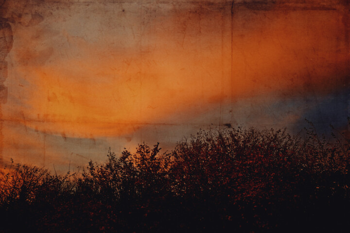Photographie intitulée "Lumière du soir" par Yasmina Baggili, Œuvre d'art originale, Photographie numérique
