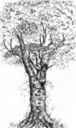 Drawing titled "arbre" by Art-Is, Original Artwork