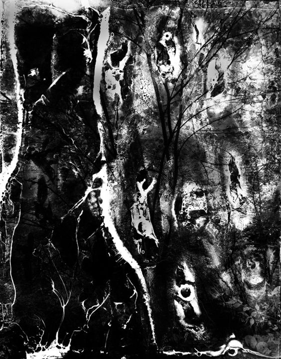 Фотография под названием "Spirit of Forest 04" - Yasuo Kiyonaga, Подлинное произведение искусства, Пленочная фотография Уста…