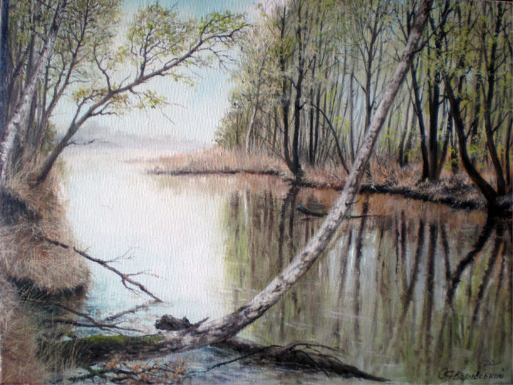 Peinture intitulée "Весенняя вода" par Yavorivskiy Alexander, Œuvre d'art originale, Huile