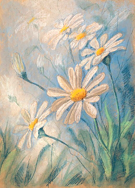 Drawing titled "White daisies water…" by Yelena Rybalkina, Original Artwork, Pastel