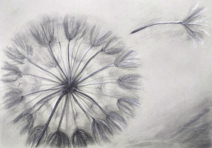 Drawing titled "Dandelion" by Yelena Rybalkina, Original Artwork, Charcoal