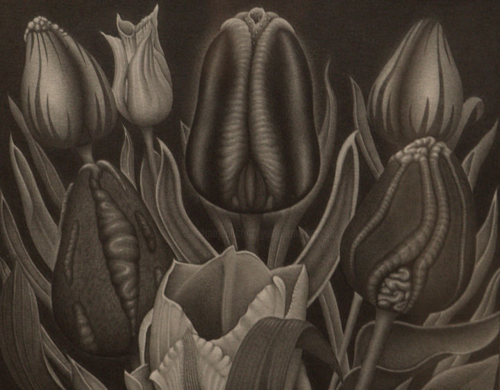 "Tulipe" başlıklı Tablo Yoshifumi Hayashi tarafından, Orijinal sanat