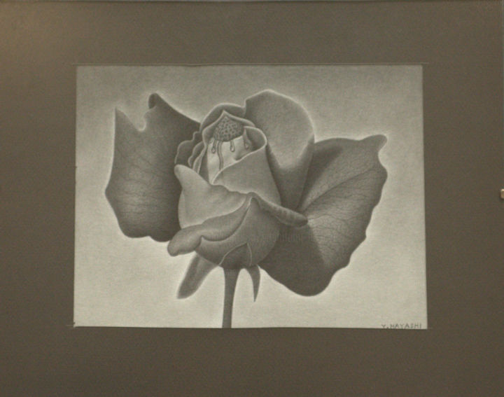 "Rose" başlıklı Tablo Yoshifumi Hayashi tarafından, Orijinal sanat