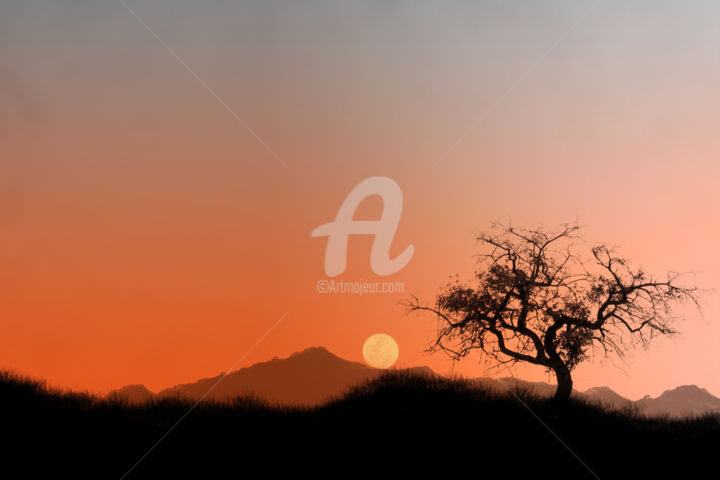 Digital Arts titled "Sunset in nature" by Younes El Amrani (Ynes), Original Artwork, 2D Digital Work