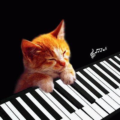 Digital Arts titled "CatPlayingPiano1.gif" by R K, Original Artwork