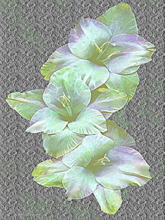 Digital Arts titled "Gladiolus-5c.b." by Youri Chasov, Original Artwork, Digital Painting
