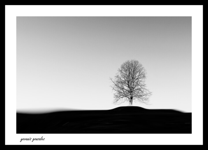 Photography titled "The tree" by Yovanis Gonzalez, Original Artwork, Digital Photography