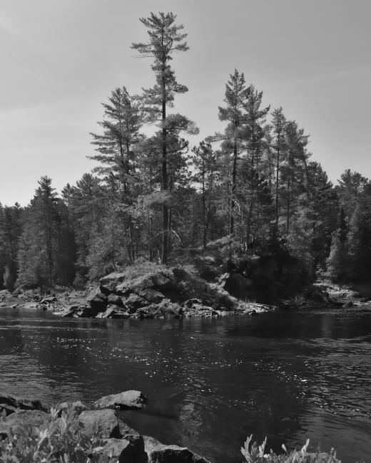 Photographie intitulée "The Stand" par Yves Pelletier, Œuvre d'art originale