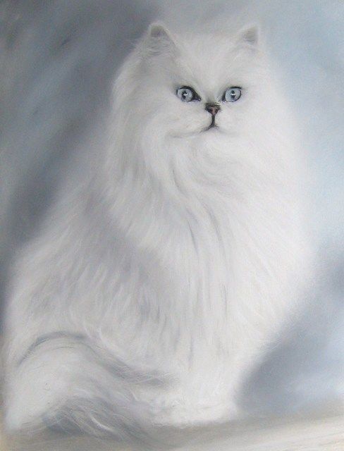 Peinture intitulée "chat persan" par Isabelle Charpentier, Œuvre d'art originale, Huile