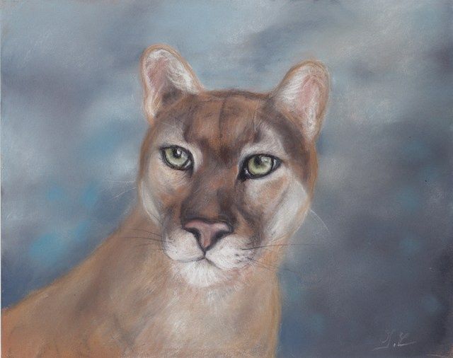 Peinture intitulée "puma" par Isabelle Charpentier, Œuvre d'art originale, Huile