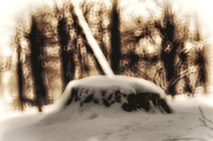 Photography titled "In the park. Winter." by Iurii Byshev, Original Artwork