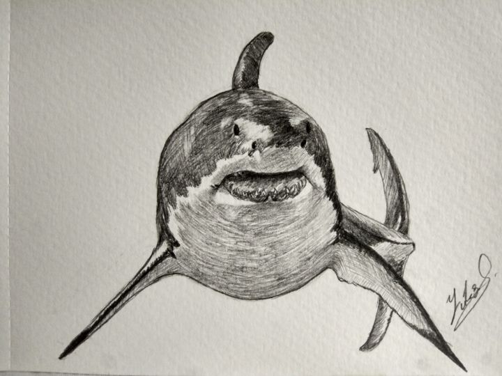 Desenho intitulada "Shark" por Yüksell Kutsall, Obras de arte originais, Lápis
