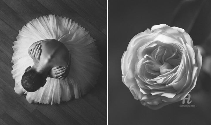 Fotografía titulada "Rose / Роза" por Iuliia Artemeva, Obra de arte original, Fotografía digital