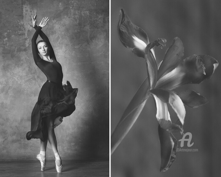 Fotografía titulada "Iris flower / Ирис" por Iuliia Artemeva, Obra de arte original, Fotografía digital