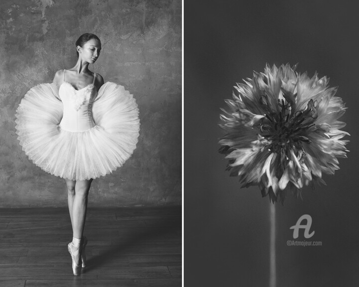 Фотография под названием "Cornflower / Василек" - Юлия Артемьева, Подлинное произведение искусства, Цифровая фотография