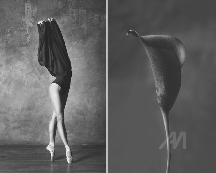 Fotografia intitolato "Calla / Калла" da Iuliia Artemeva, Opera d'arte originale, Fotografia digitale