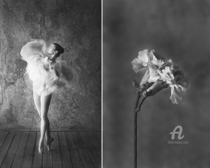 "Carnation" başlıklı Fotoğraf Юлия Артемьева tarafından, Orijinal sanat, Dijital Fotoğrafçılık