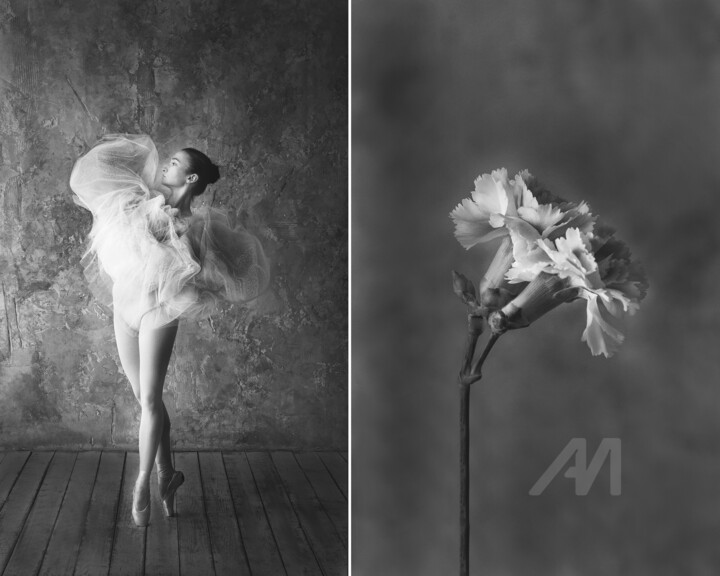 Fotografia intitulada "Carnation" por Iuliia Artemeva, Obras de arte originais, Fotografia digital