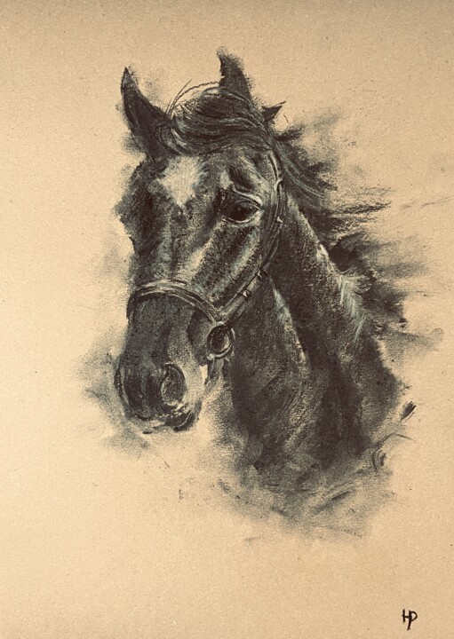 Drawing titled "Portrait of a horse…" by Yulia Risevets, Original Artwork, Charcoal