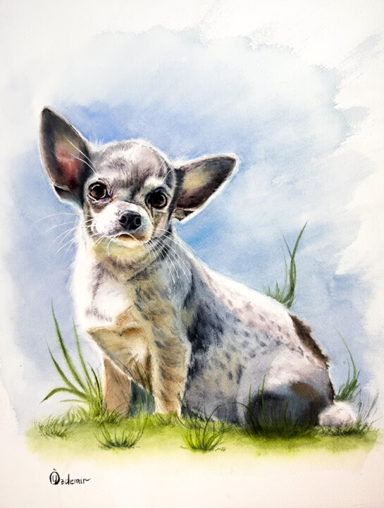 Pintura intitulada "Chihuahua portrait" por Yuliya Ozdemir, Obras de arte originais, Aquarela