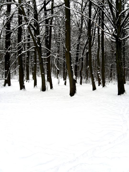 Fotografía titulada "Last winter I" por Yun Moon, Obra de arte original