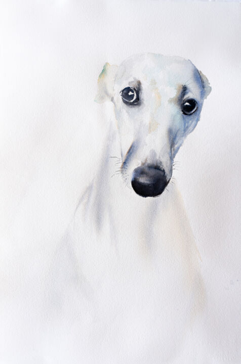 Malerei mit dem Titel "***Greyhound I***" von Yuriy Kraft, Original-Kunstwerk, Aquarell